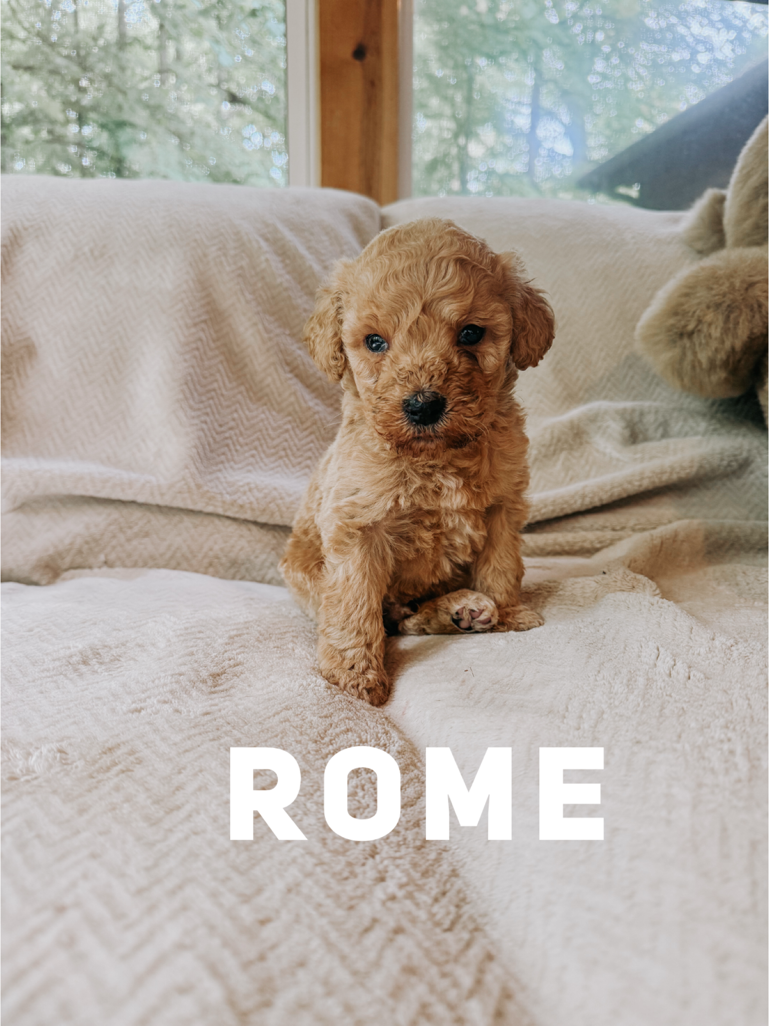 Rome 1